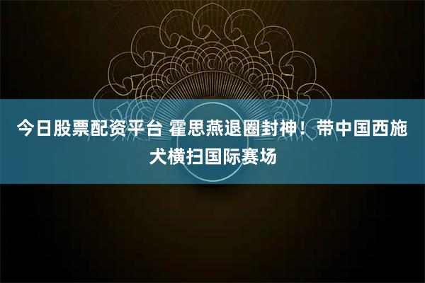 今日股票配资平台 霍思燕退圈封神！带中国西施犬横扫国际赛场